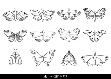 Collection of icons butterflies Stock Vector