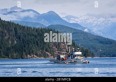Crew aboard a fishing vessel and its tender set a seine net during a commercial salmon fishery in Johnstone Strait, BC (Coast Range in background). Stock Photo