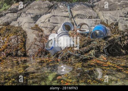 A raft of broken plastic buckets at a shellfish farm, tied to shore, lies at the water's edge at low tide in a tangle of seaweed, styrofoam and rope. Stock Photo