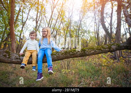 Kids play in autumn park. Little brother and his sister sitting on the tree in the fall Stock Photo