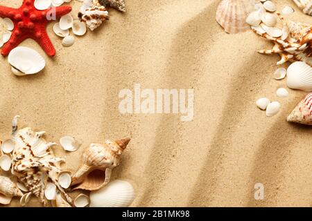 Seashells and starfish on sand background. Top view, flat lay Stock Photo