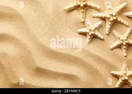 Starfishes on the sand background. Top view. Flat lay Stock Photo