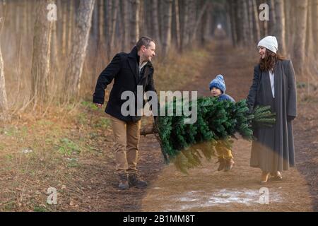Happy family in warm clothes carrying Christmas fir tree together walking on path in woods Stock Photo