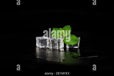 mint leaf with ice cubes with drops close-up on a black background Stock Photo