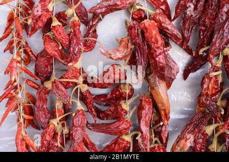 A lot of dry red paprika pods are hung vertically on threads on market. Spicy seasoning for cooking delicious food. Stock Photo