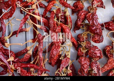 A lot of dry red paprika pods are hung vertically on threads on market. Spicy seasoning for cooking delicious food. Stock Photo