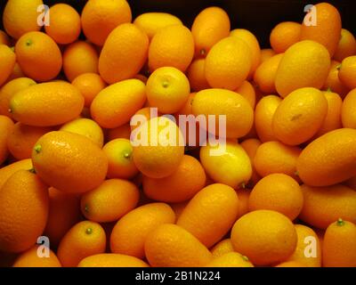 Kumquats are a group of small fruit-bearing trees in the flowering plant family Rutaceae Stock Photo