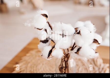 A delicate bouquet of cotton in a transparent small vase on a round straw napkin against a light boho interior Stock Photo
