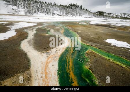 algae bloom, USA, Wyoming, Yellowstone National Park, Norris Geyser Basins Stock Photo