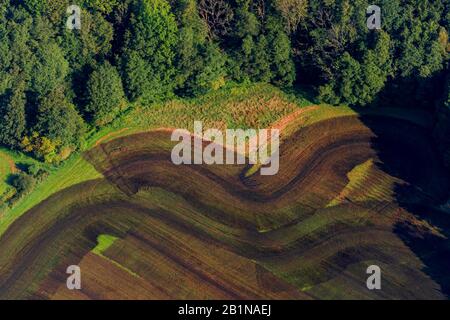 fertilized fiel, aerial picture, Germany, Schleswig-Holstein, Mitte Geest Stock Photo