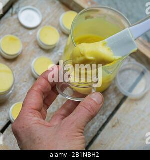 production of a lip creams, made from spruce resin, olive oil, bee wax and honey, Germany Stock Photo