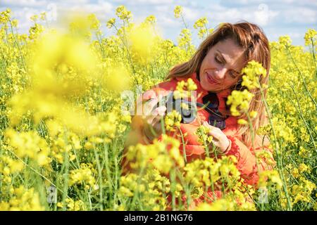 Beautiful woman photographer smiling and looking at her camera, inside a yellow rapeseed field. Stock Photo