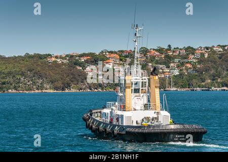 Sydney, Australia - December 11, 2009: Karoo black-white tugboat of Port Kemble sails on deep blue bay water, with shore line on horizon full of red r Stock Photo