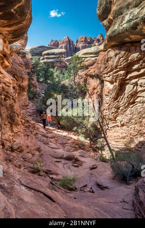 Passage through joint in rocks at Chesler Park Trail, The Needles section at Canyonlands National Park, Utah, USA Stock Photo
