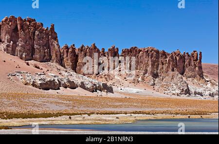 The wind-eroded cathedrals of Tara rock formations tower over lake shoreline and llamas, Salar de Tara, Atacama Desert, Antofagasta, Chile. Stock Photo