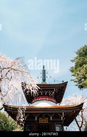 Nara, Japan - April 7, 2019 : Yoshino mountain Tonan-in temple with spring cherry blossoms Stock Photo