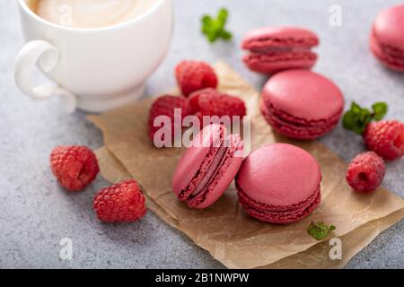 Raspberry macarons with fresh berries Stock Photo