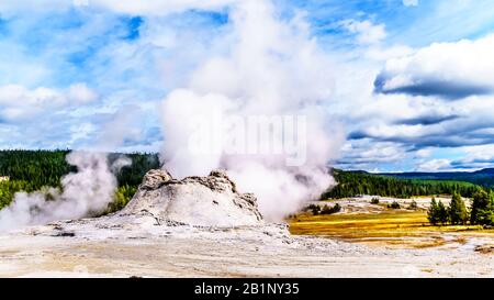 Steam coming out of the Castle Geyser in the Upper Geyser Basin along the Continental Divide Trail in Yellowstone National Park, Wyoming, United State Stock Photo