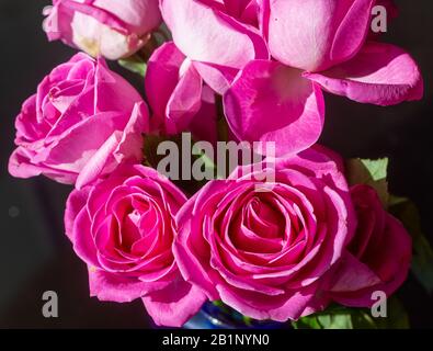 a very lovely pink roses in bouquet Stock Photo