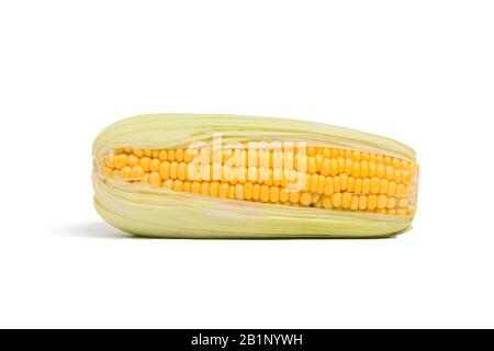 Single ear of sweet corn isolated on white background. Stock Photo