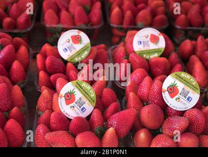 Fresh strawberries for sale in Carmel Market (Shuk HaCarmel), the largest market in Tel Aviv, Israel Stock Photo