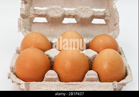 Fresh eggs in an egg box isolated on white Stock Photo
