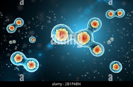 Cell division on a dark blue background. 3d render. Stock Photo