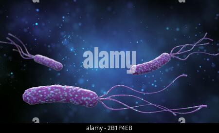 Illustration of Helicobacter pylori bacteria on an abstract blue background. Medical concept. 3 d render. Stock Photo