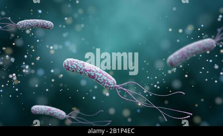 Illustration of Helicobacter pylori bacteria on an abstract color background. Medical concept. 3 d render. Stock Photo