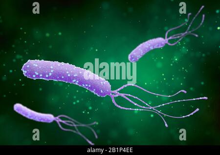 Illustration of Helicobacter pylori bacteria on an abstract green background. Medical concept. 3 d render. Stock Photo