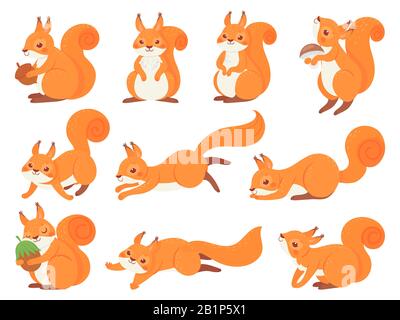 Cartoon squirrel. Cute squirrels with red furry tail, mammals animals and brown fur squirrel vector set. Adorable forest fauna, funny wildlife Stock Vector