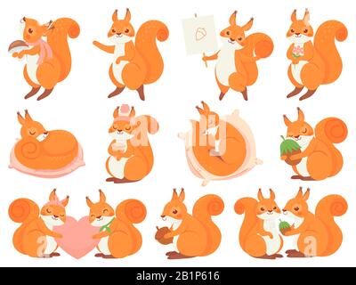 Cute squirrel cartoon mascot. Couple squirrels love, squirrel with nut, mushroom and coffee cup. Funny sleeping animal vector set. Adorable fluffy Stock Vector