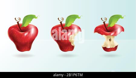 The illustration shows a red apple in three forms: whole, bitten, stump. Realistic art. Stock Vector