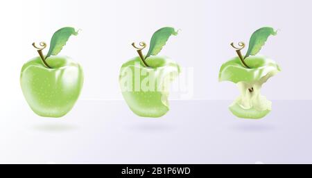 The illustration shows a green apple in three forms whole, bitten, stump. Realistic art Stock Vector