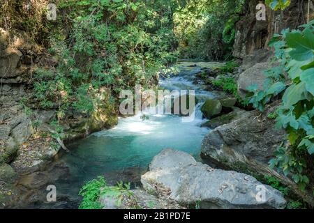 Bach Hermon mit Banias Fall, Golanhöhen, Israel Stock Photo - Alamy