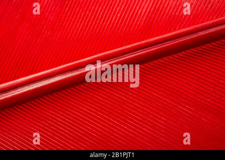 A beautiful abstract background of feathers of red. Macro shoot for texture. Stock Photo