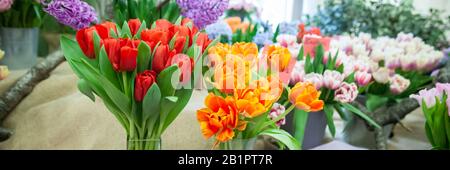 Fresh spring  colorful  tulip flowers banner. Lot of multicolored tulips bouquets.  Hello Spring and  Woman day concepts Stock Photo