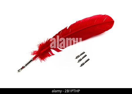 A red feather pen isolated on white background Stock Photo