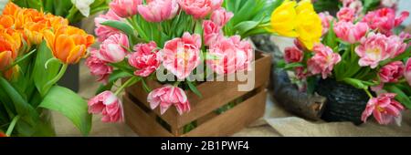 Fresh spring  colorful  tulip flowers banner. Lot of multicolored tulips bouquets.  Hello Spring and  Woman day concepts