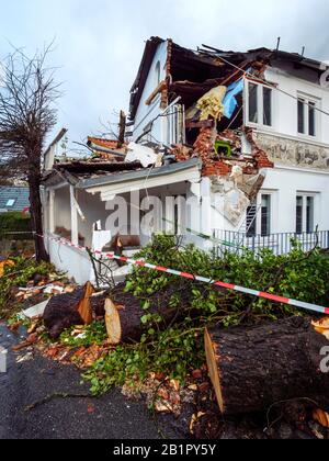 damage by storm, fallen chestnut tree,  Blankeneser Hauptstr., Hamburg, Germany, Europe Stock Photo