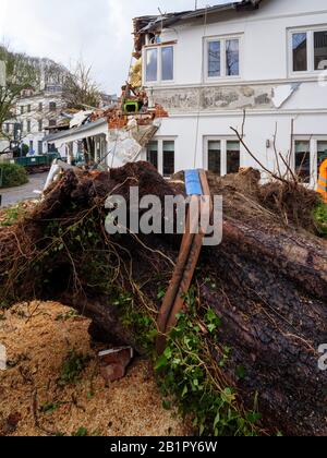 damage by storm, fallen chestnut tree,  Blankeneser Hauptstr., Hamburg, Germany, Europe Stock Photo