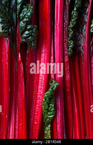 Balkan cuisine. Macro.  Blitva ( chard leaves ) - popular leafy vegetables. Stock Photo