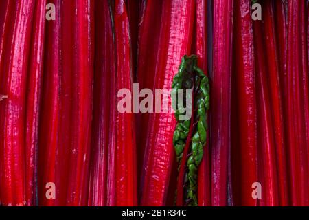 Balkan cuisine. Macro.  Blitva ( chard leaves ) - popular leafy vegetables. Stock Photo