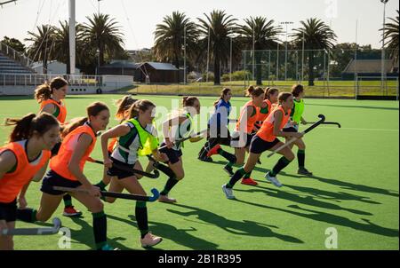 Female hockey players exercising on the field Stock Photo