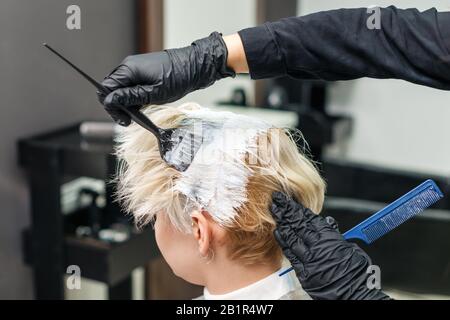 Hairdresser applies white dye on woman's hair in beauty salon. Stock Photo