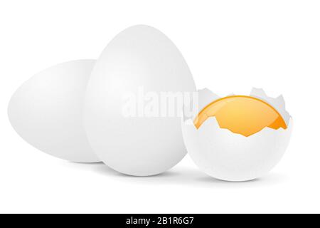 Chicken eggs Stock Vector