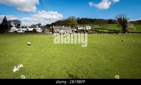 Near Sawrey, Cumbria, England. A sunny springtime view of the Cumbrian village in the English Lake District home to children's author Beatrix Potter. Stock Photo