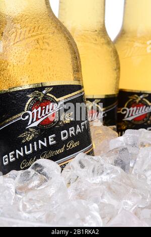 IRVINE, CA - MAY 30, 2014: Closeup of Miller Genuine Draft bottles in ice. MGD is actually made from the same recipe as Miller High Life except it is Stock Photo