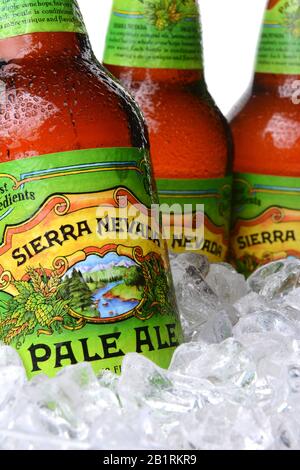 IRVINE, CA - MAY 30, 2014: Closeup of Sierra Nevada Pale Ale bottles in ice. Sierra Nevada Brewing Co. was established in 1980 by homebrewers in Chico Stock Photo