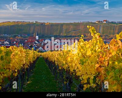 View over vineyards to Nordheim with Vogelsburg near Volkach, Mainfranken, Bavaria, Germany Stock Photo